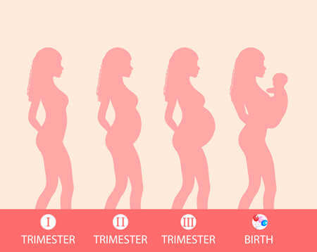 The Fourth Trimester: Your Baby’s Development and Maternal Recovery