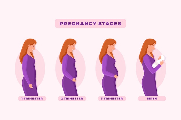 Your First Trimester of Pregnancy: A Week-by-Week Guide