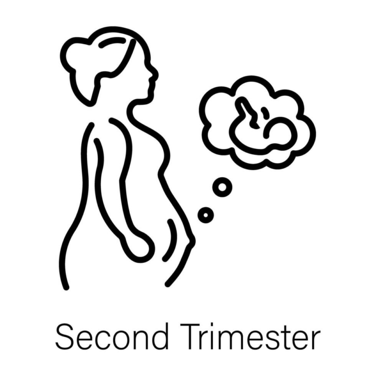 Second Trimester: Week-by-Week Guide