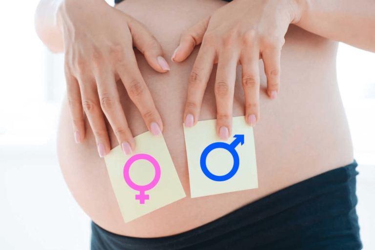 How to Conceive a Specific Gender Through Diet?