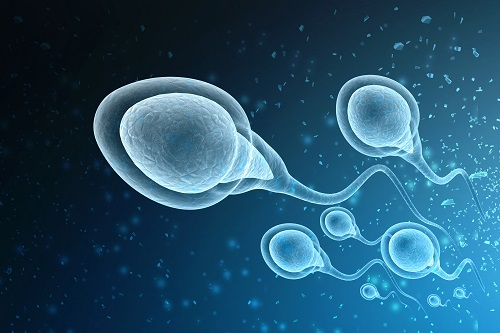 Understanding Sperm Antibodies and Their Impact on Conception