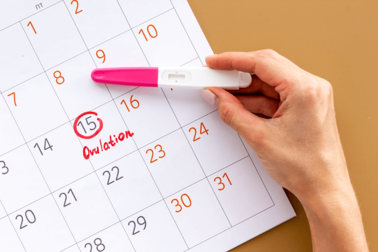 How Ovulation Tests Work: A Comprehensive Guide