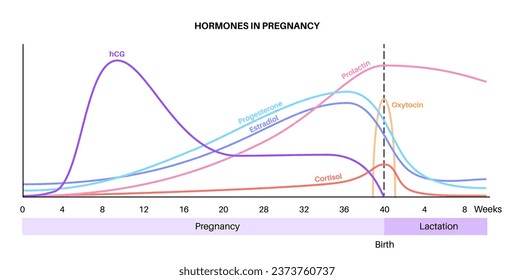 Understanding Progesterone Levels During the First Trimester