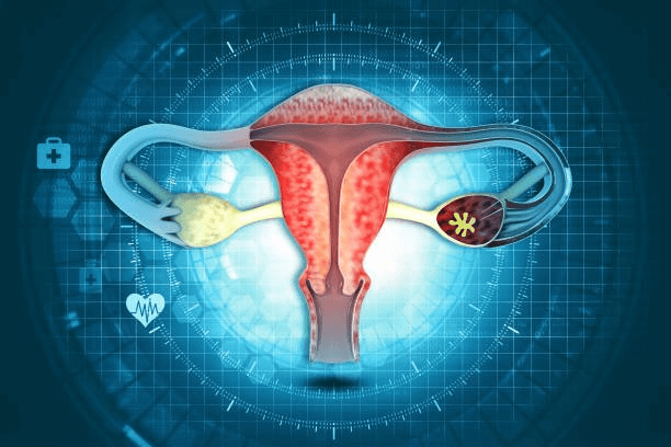 Fibroid Tumors and Infertility: Understanding the Impact and Treatment Options