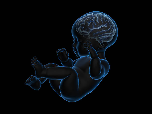 What Exactly Is Pregnancy Brain?