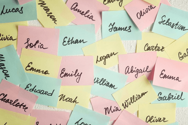 The Evolution of Baby Names Over the Past Decade